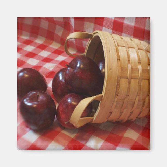 Land äpplen på en kontrollerad duk magnet (Framsidan)