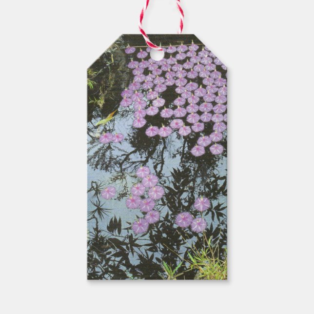 "Land Art" Presentetikett (Framsidan)