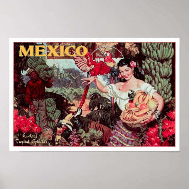 LAND AV TROPISK SPLENDOR MEXICO c. 1950 Poster (Framsidan)