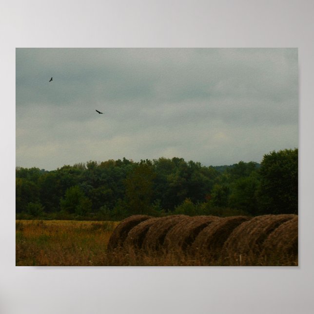 Land Bales Poster (Framsidan)