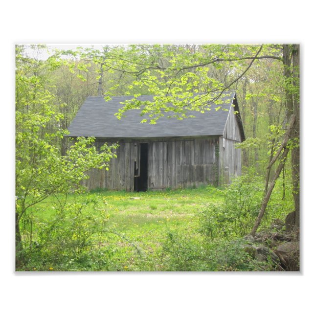 Land Barn i Vår Fototryck (Framsidan)