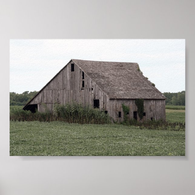 Land Barn Poster (Framsidan)