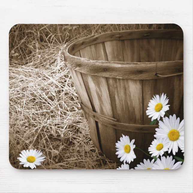 Land Basket Musmatta (Framsidan)