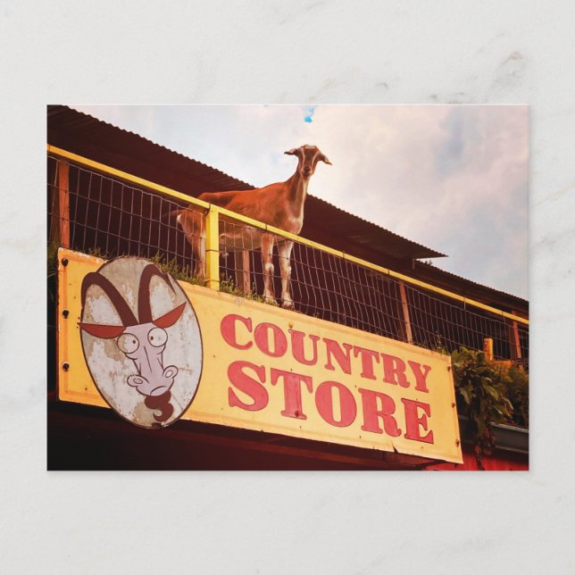 land-butik på tak vykort (Framsida)