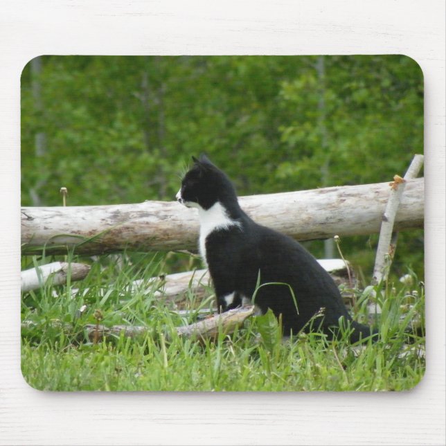 Land Cat Mouse Pad Musmatta (Framsidan)