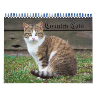 Land Cats Kalender