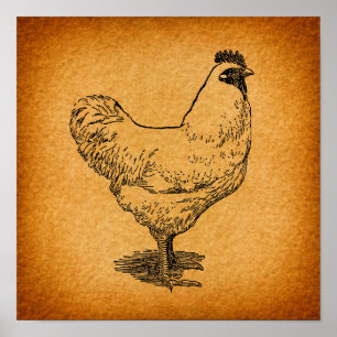 Land Chicken Farm Animal Art Vintage Tupp Poster
