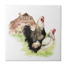 Land Chicken & Tupp Barn, Farm Scene Kakelplatta
