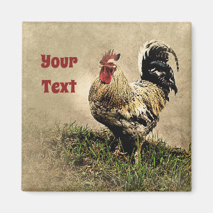 Land Chicken Tupp Magnet