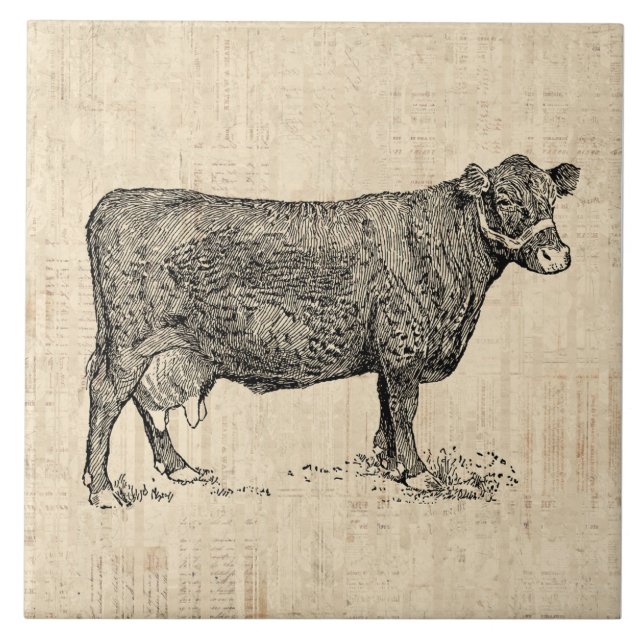 Land Cow Illustrated Art Kakelplatta (Framsidan)