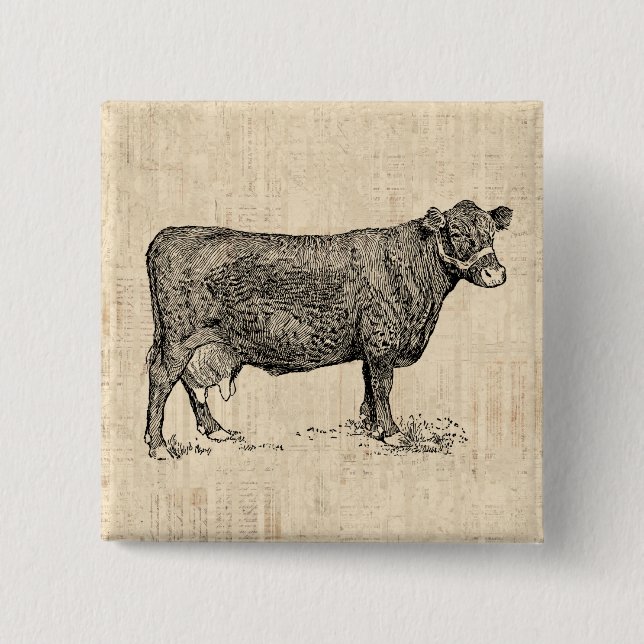 Land Cow Illustrated Art Knapp (Framsida)