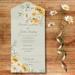 Land Daisy och solblommor på Grönten