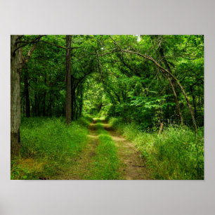Land Driveway Poster