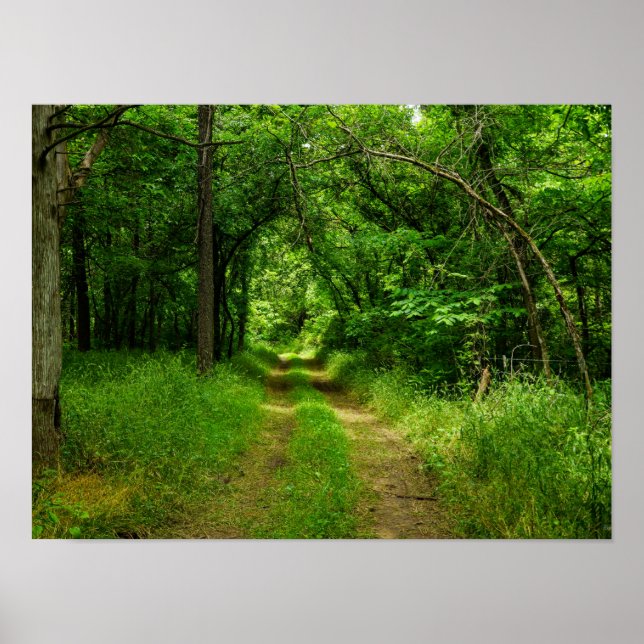 Land Driveway Poster (Framsidan)