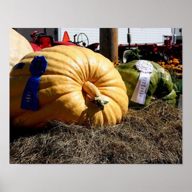 Land Fair Giant Pumpkin Blue Ribbon Poster (Framsidan)