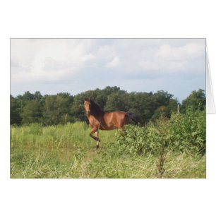 Land Farm Horse Hälsningskort