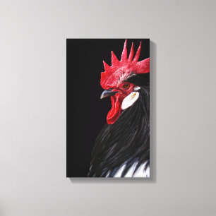 Land Farm Tupp Black Red White Chicken Photo Canvastryck