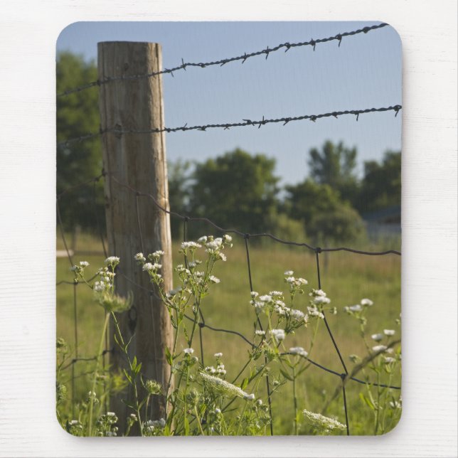 Land Fence Post och Wildblommor Musmatta (Framsidan)