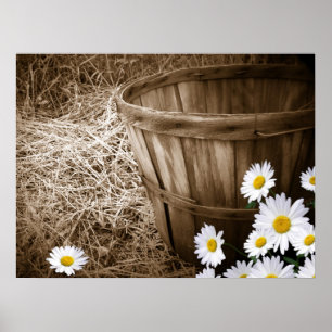 Land Flowers Poster