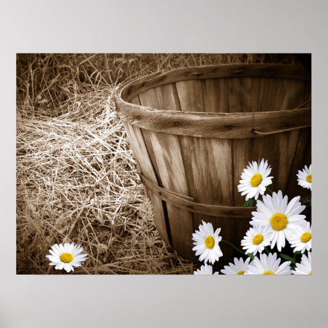 Land Flowers Poster (Framsidan)