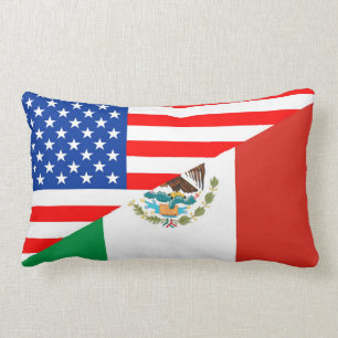 land för United States Amerika mexico halvt Lumbarkudde