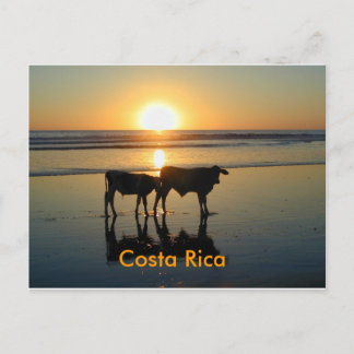 Land för vykortBejuco ko, Costa Rica Vykort
