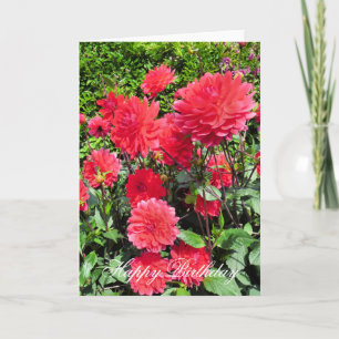 LAND GARDEN FLOWERS KORT