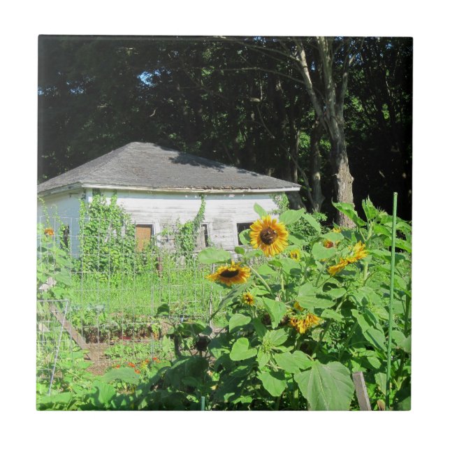 Land Garden Trivet Kakelplatta (Framsidan)