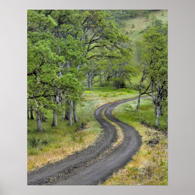 Land genom träd, Oregon Poster (Framsidan)