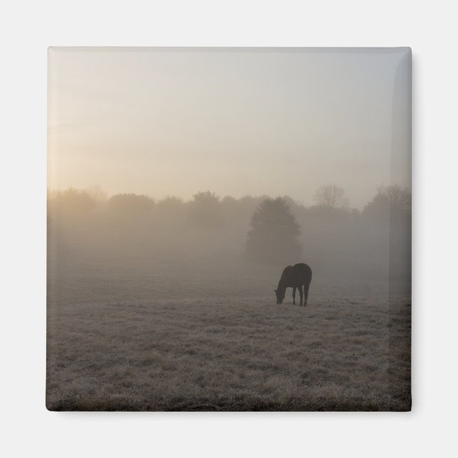 Land God Magnet (Framsidan)