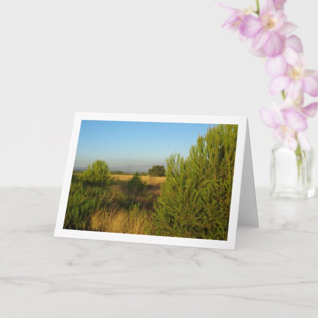 Land Gräs Träd Kort (Orkide)