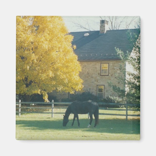 Land Horse - magnet (Framsidan)