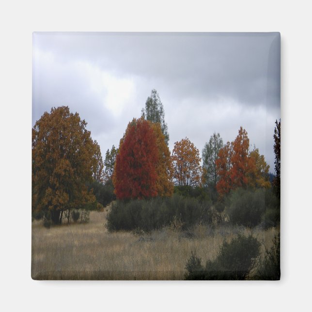 Land Höst färger...... Magnet (Framsidan)