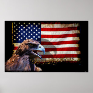 Land i det fria patriotiska USA-Flagga och Eagle Poster