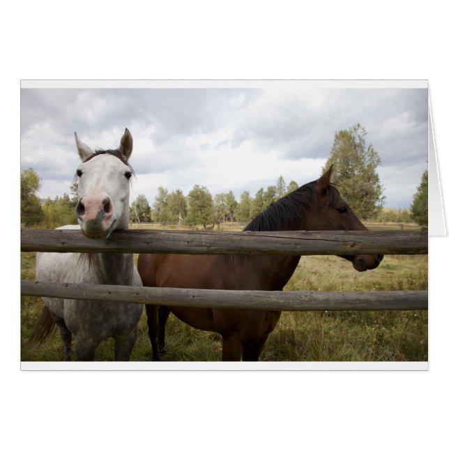 LAND LANDSCAPES HÄLSNINGSKORT (Framsidan Horizontal)