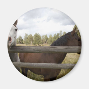 LAND LANDSCAPES MAGNET