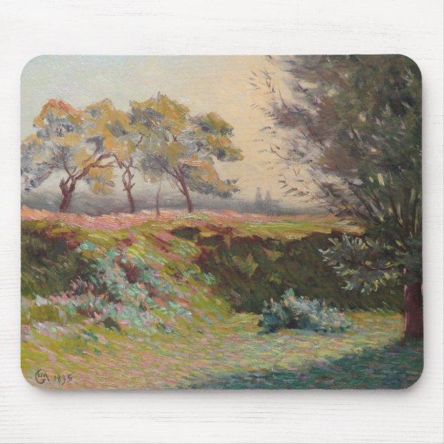 Land Landskap (av Léo Gausson) Musmatta (Framsidan)