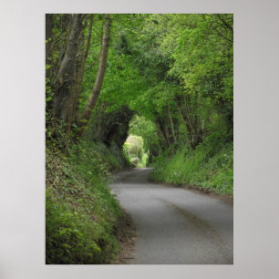 Land Lane Poster