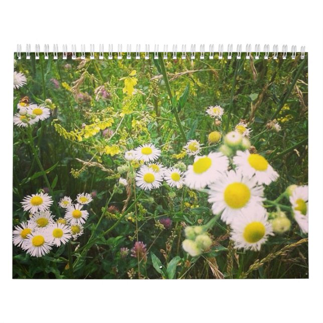 Land Life Calendar Kalender (Omslag)