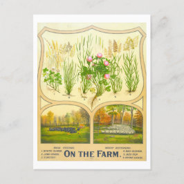 Land Life Farming Vintage Lithograph Postcard Vykort