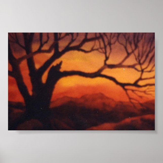 Land liggande Poster (Framsidan)