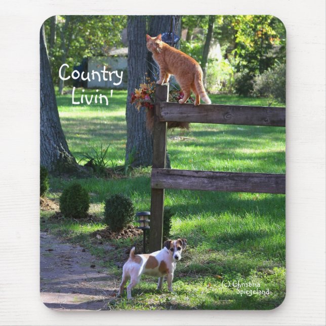 Land Livin cat jack russell hund Musmatta (Framsidan)