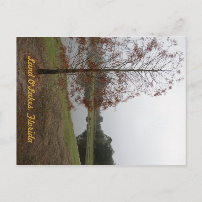 Land O’Sjöar Sjö Scene Vykort (Framsida)