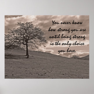 Land Oak Träd Sepia Poster