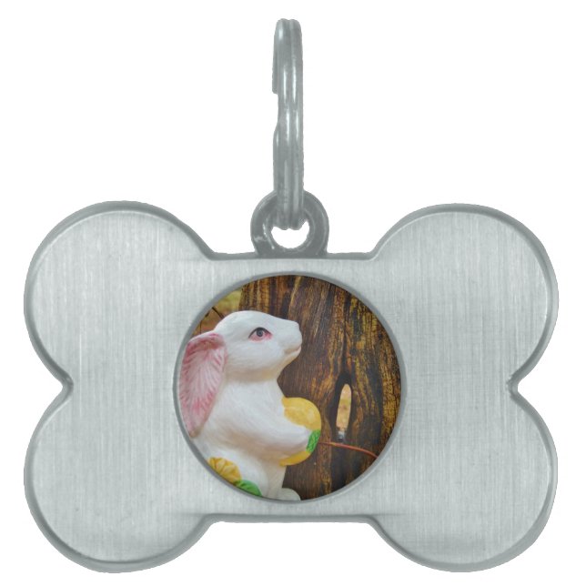 Land Påskhare Namnbricka Husdjur (Framsidan)