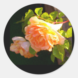 Land Peach Ro Runt Klistermärke