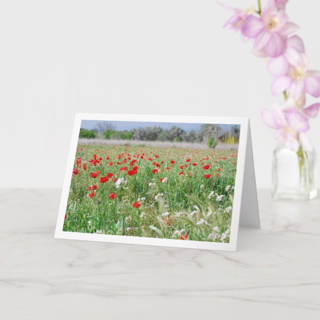 Land Poppy Fält Card Kort (Orkide)