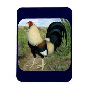 Land Road Gamecock Magnet