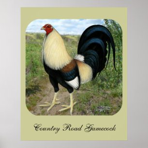 Land Road Gamecock Poster