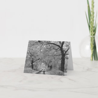 Land Road i Winter: Cheshire Kort
